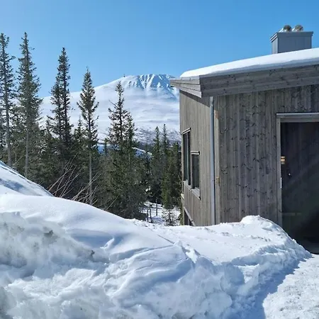 Ny Leilighet Med Flott Utsikt Til Gaustatoppen Рьюкан Экстерьер фото