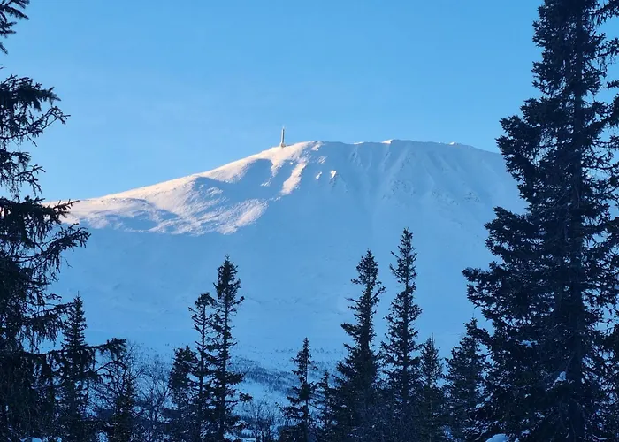 Ny Leilighet Med Flott Utsikt Til Gaustatoppen