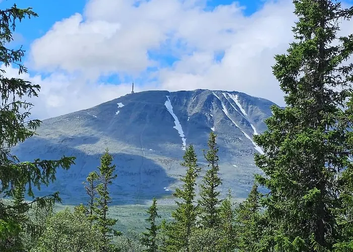 Ny Leilighet Med Flott Utsikt Til Gaustatoppen