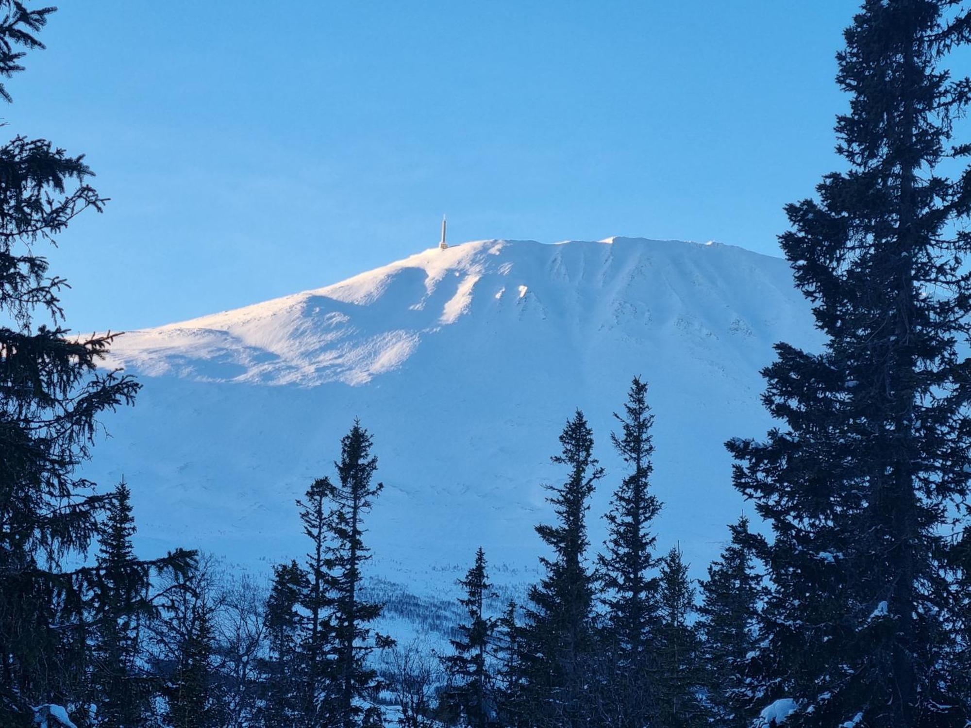 Apartment Ny Med Flott Utsikt Til Gaustatoppen Rjukan