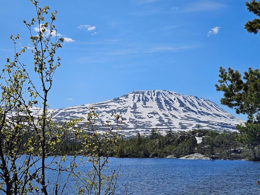 Apartamento Ny Med Flott Utsikt Til Gaustatoppen Rjukan