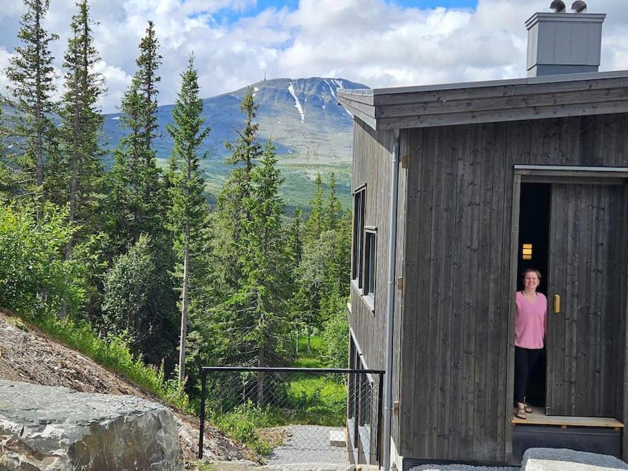 Apartment Ny Med Flott Utsikt Til Gaustatoppen *