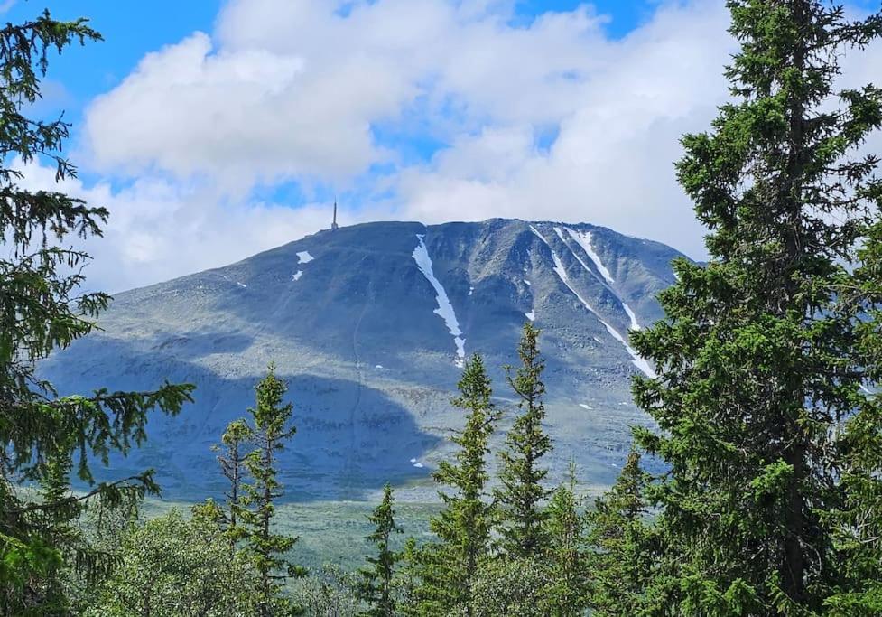 Ny Med Flott Utsikt Til Gaustatoppen